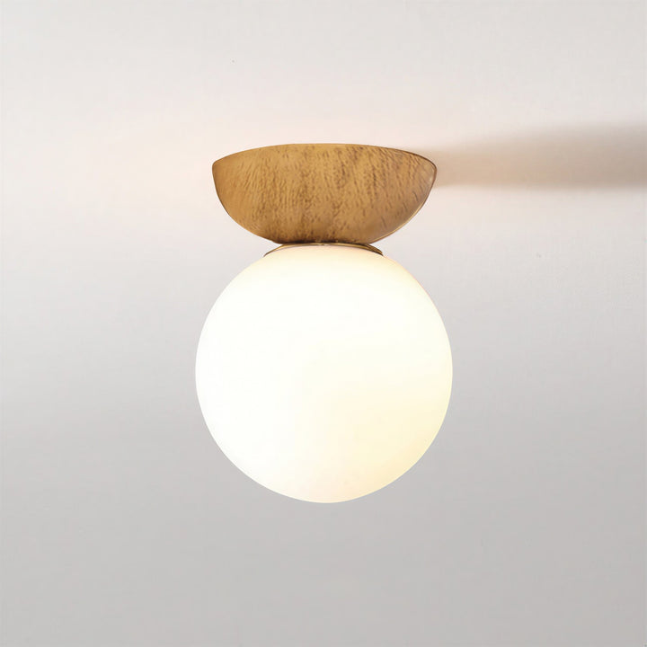 Nordic Glass Globe Ceiling Light - View 12