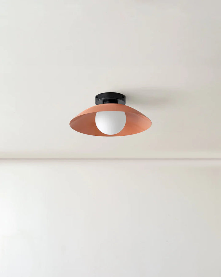 Scallop Wall and Ceiling Light in Peach, Black