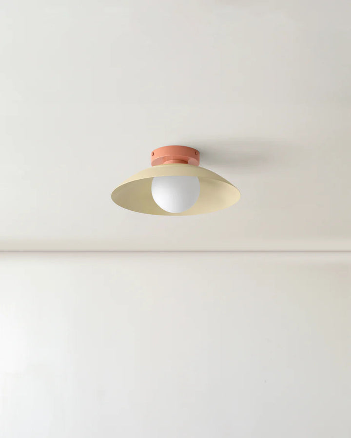 Scallop Wall and Ceiling Light in Bone, Peach
