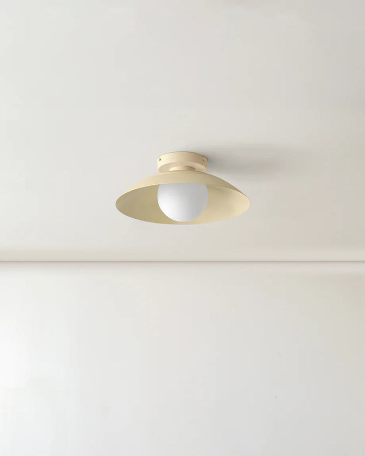 Scallop Wall and Ceiling Light in Bone