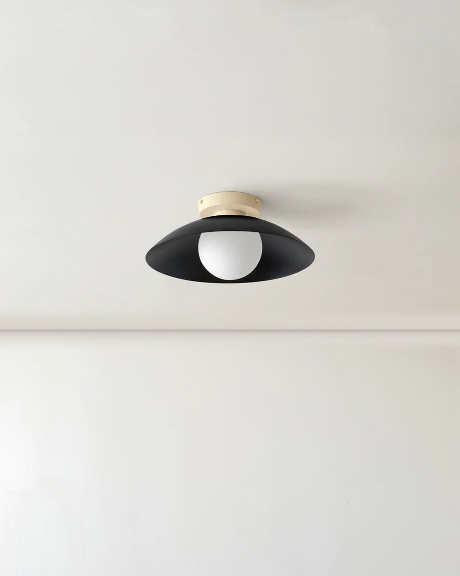 Scallop Wall and Ceiling Light in Black, Bone