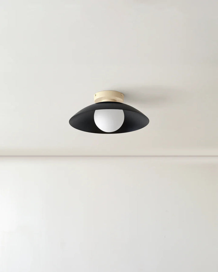 Scallop Wall and Ceiling Light in Black, Bone