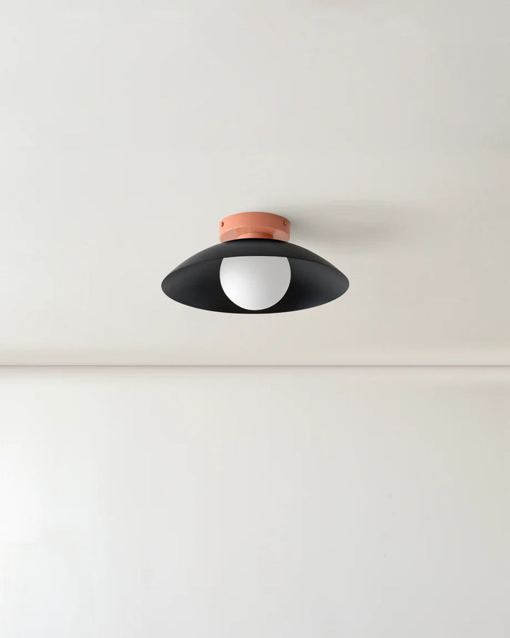 Scallop Wall and Ceiling Light in Black, Peach