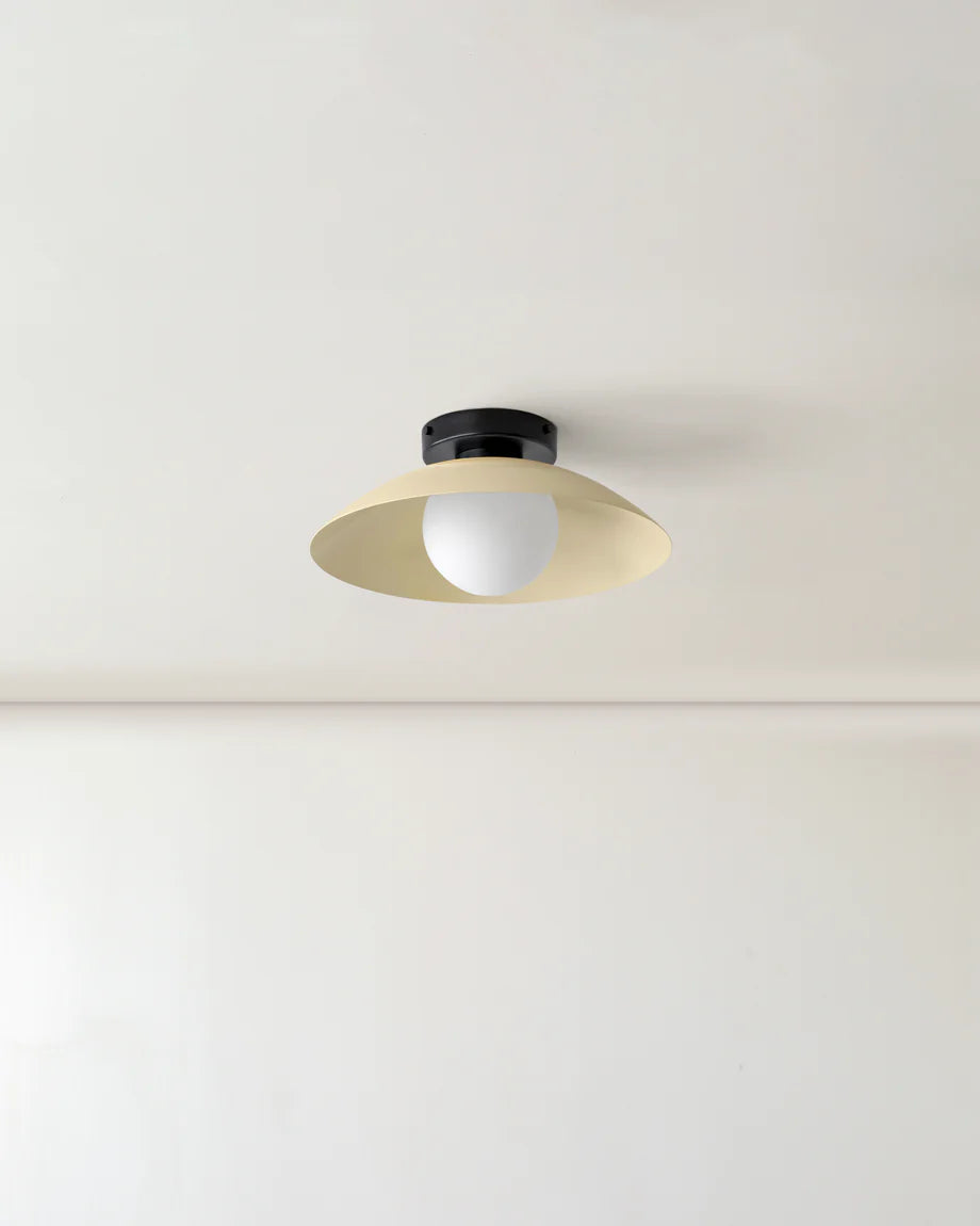 Scallop Wall and Ceiling Light in Bone, Black