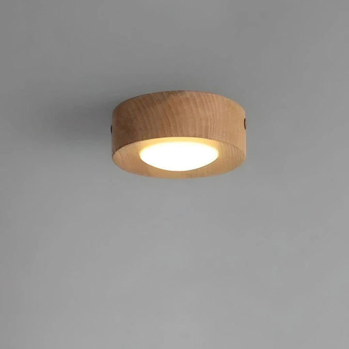 Wood Ceiling Spotlight in Ash Wood