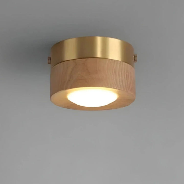 Wood Ceiling Spotlight in Ash Wood - View 2